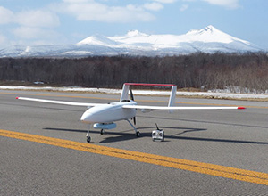 The Unmanned Airplane for Radiation Monitoring System (UARMS)