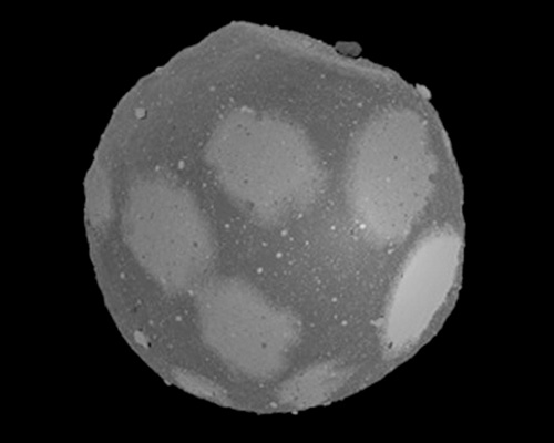 「画像生成装置」による架空の小惑星「リュウゴイド」の模擬画像例－全景
