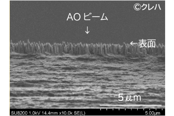 AO 照射した高分子材料 (PVDF フィルム) 断面の電子顕微鏡像